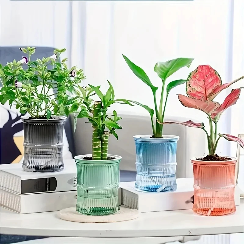 Aloe Vera Pot - Maceta Transparente de Doble Capa con