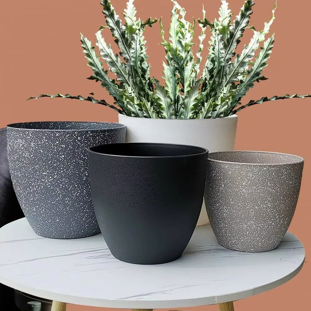 Maceta de bonsái de piedra de  - Aloe Vera Pot reseña y precio