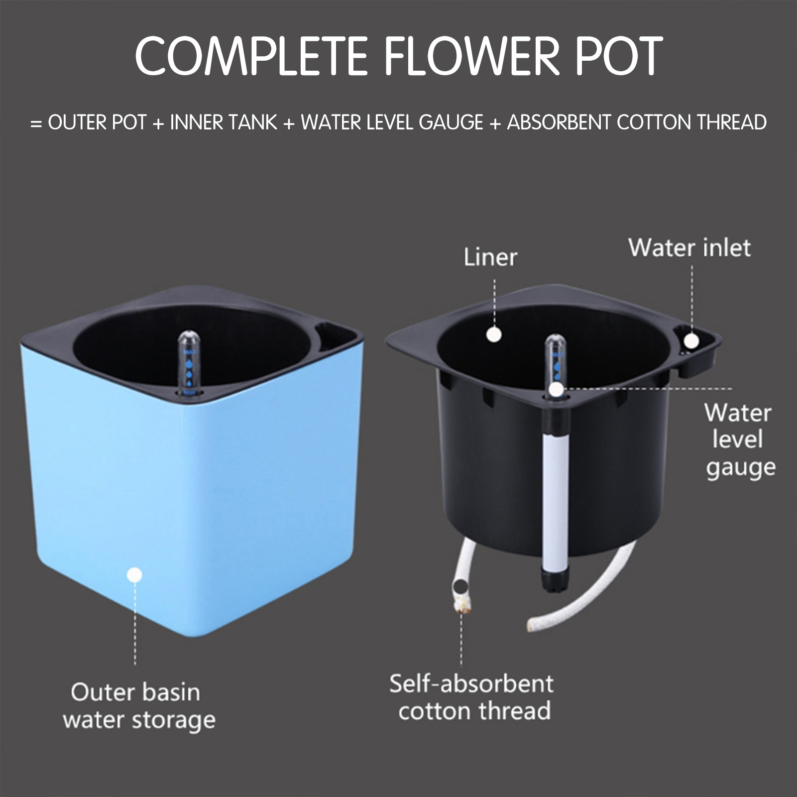 Macetas de plantas de flores c - Aloe Vera Pot reseña y precio