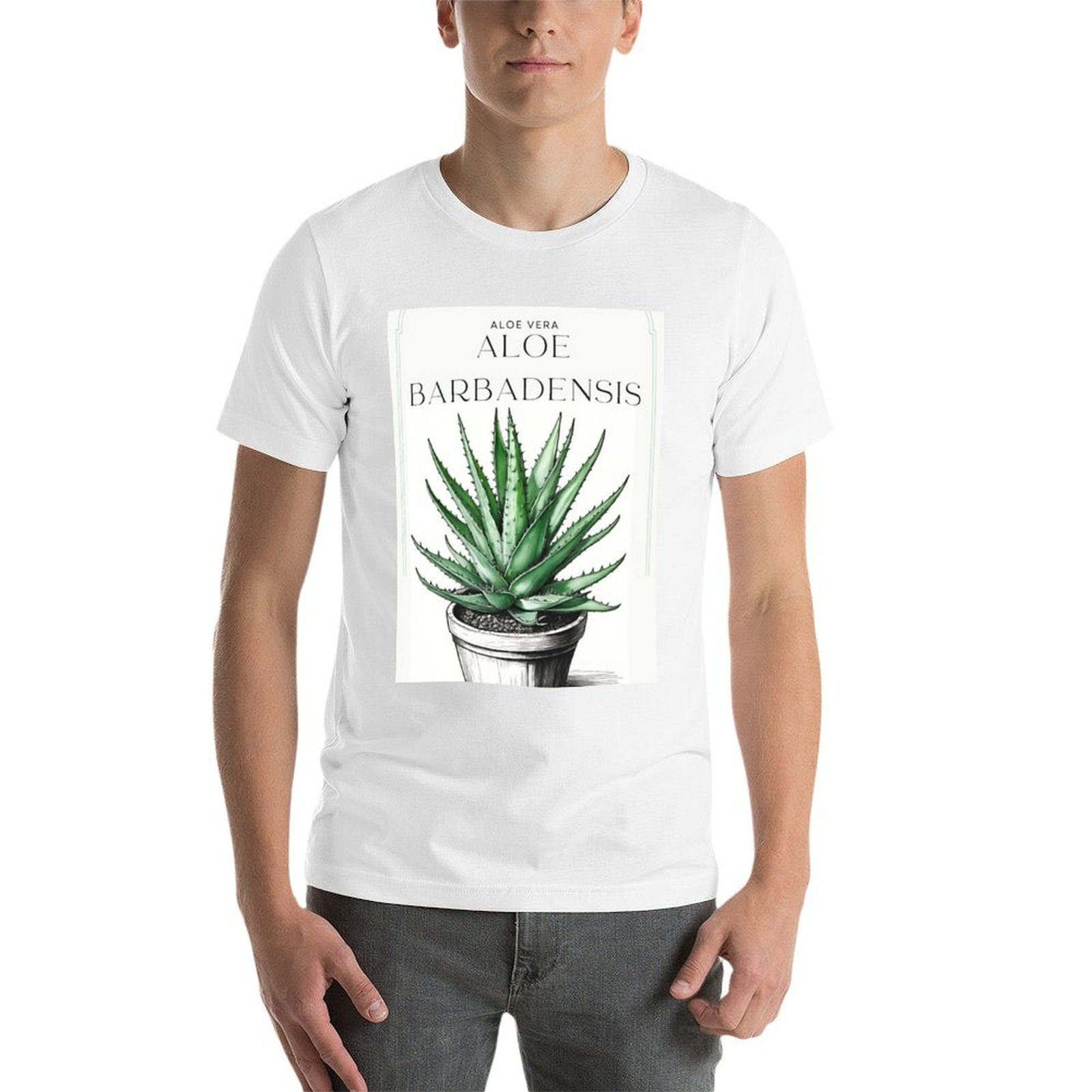 Aloe Vera botánico en maceta,  - Aloe Vera Pot reseña y precio