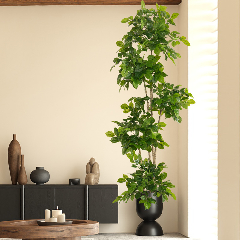 Plantas falsas grandes de 2-78 - Ficus Lyrata Tree reseña y precio
