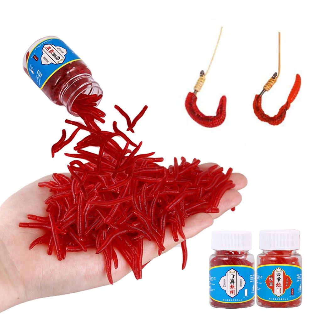 100 uds/botella aparejos reali - Aglaonema Red reseña y precio