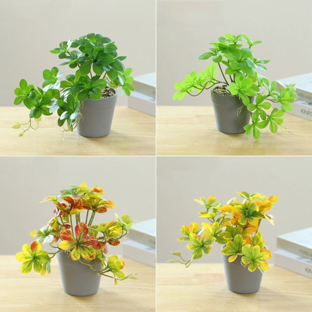 Bonsái Artificial, Planta Arañ - Spider Plant Hanging reseña y precio