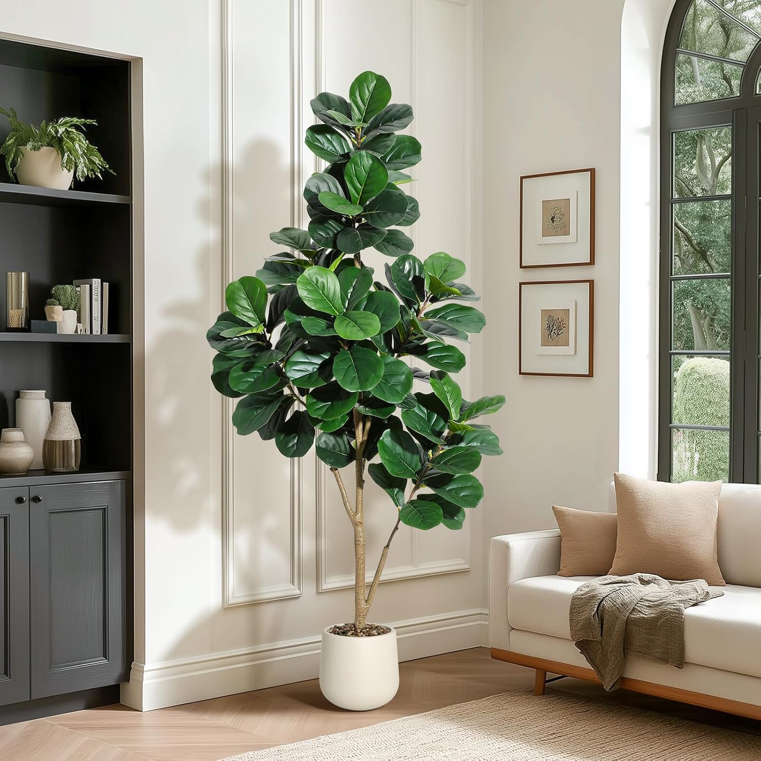 Árbol de higo de hoja de violí - Ficus Lyrata Tree reseña y precio