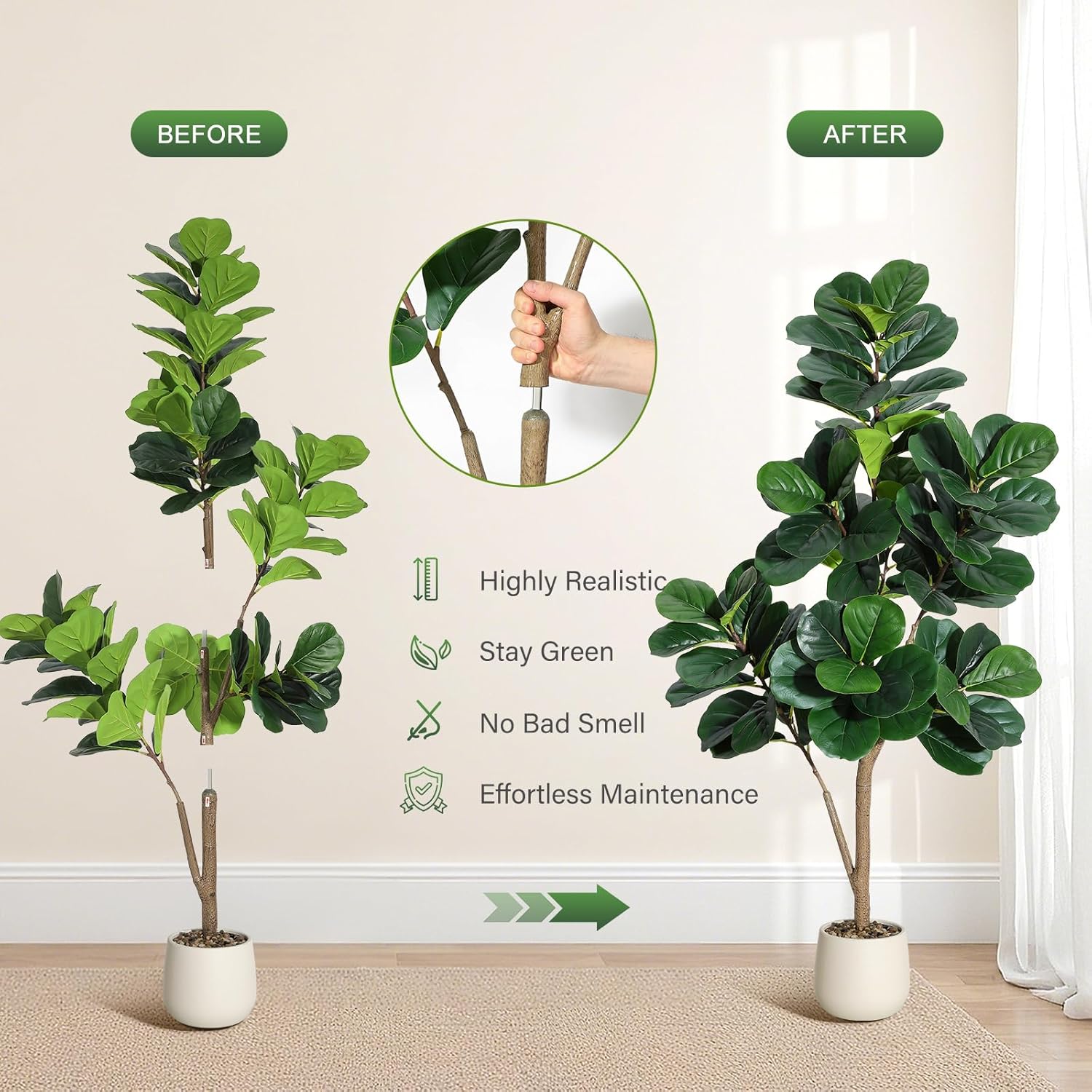 Árbol de higo de hoja de violí - Ficus Lyrata Tree reseña y precio