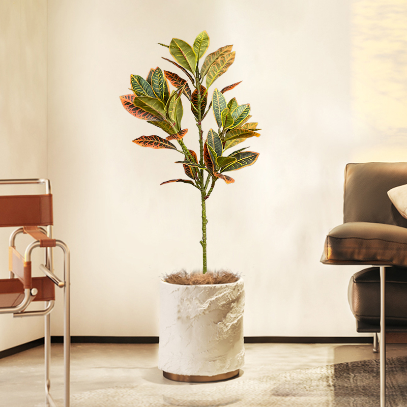 Árbol de Ficus falso grande de - Ficus Lyrata Tree reseña y precio