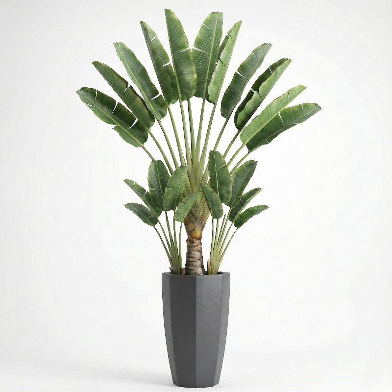 Árbol Artificial de Ficus Lyra - Ficus Lyrata Tree reseña y precio