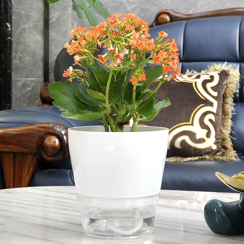 Flor perezosa con orificio de  - Aloe Vera Pot reseña y precio