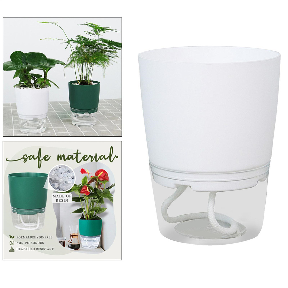 Maceta hidropónica perezosa, m - Aloe Vera Pot reseña y precio