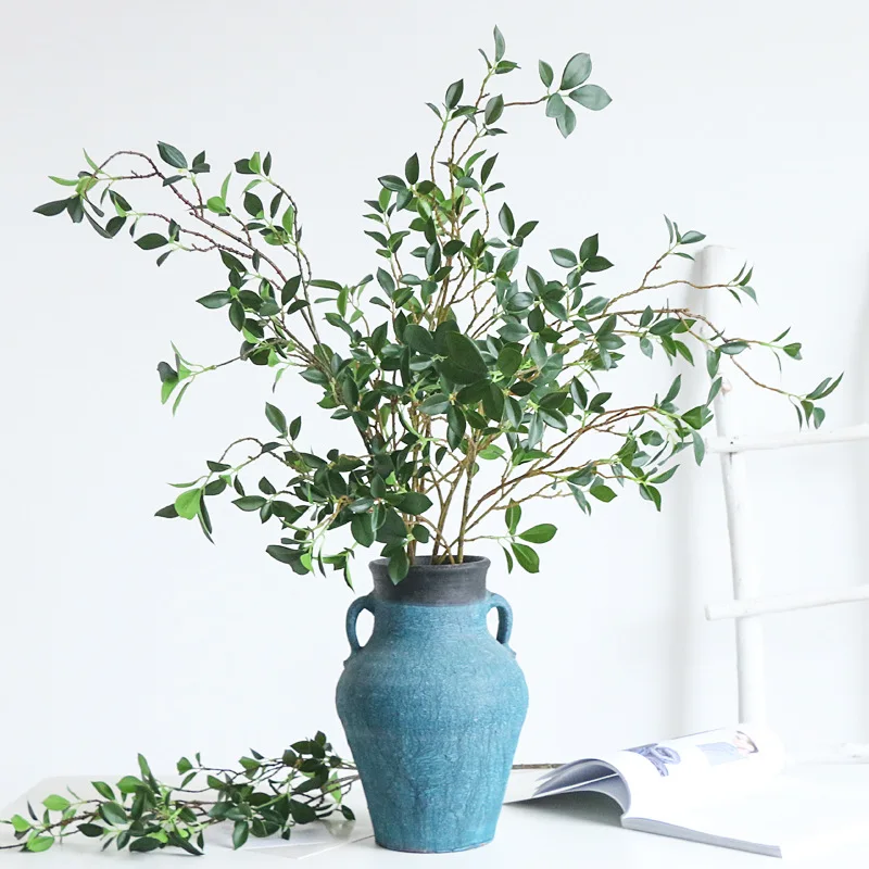 Tenuifolia Ficus rama de árbol - Ficus Lyrata Tree reseña y precio