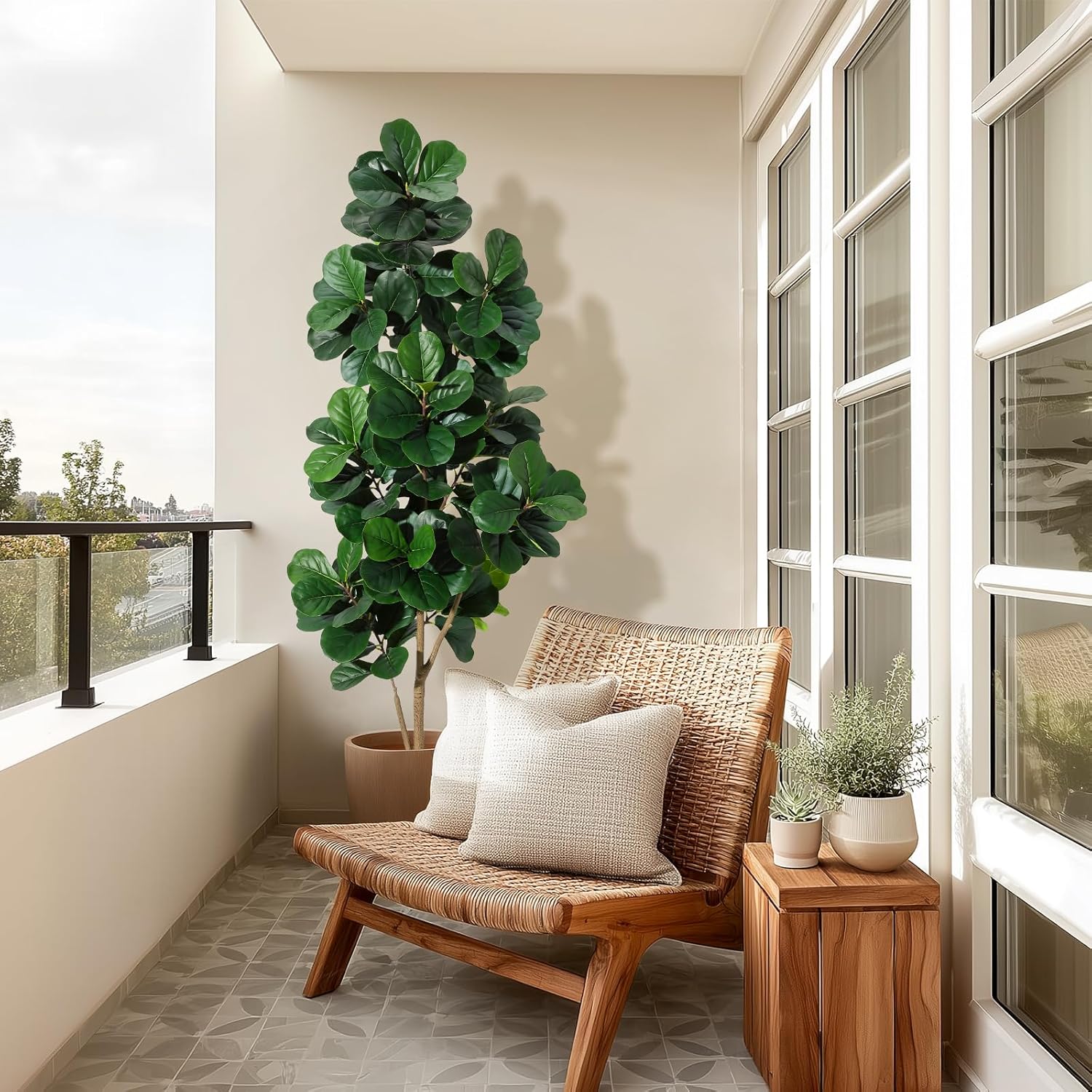 Árbol de higo de hoja de violí - Ficus Lyrata Tree reseña y precio