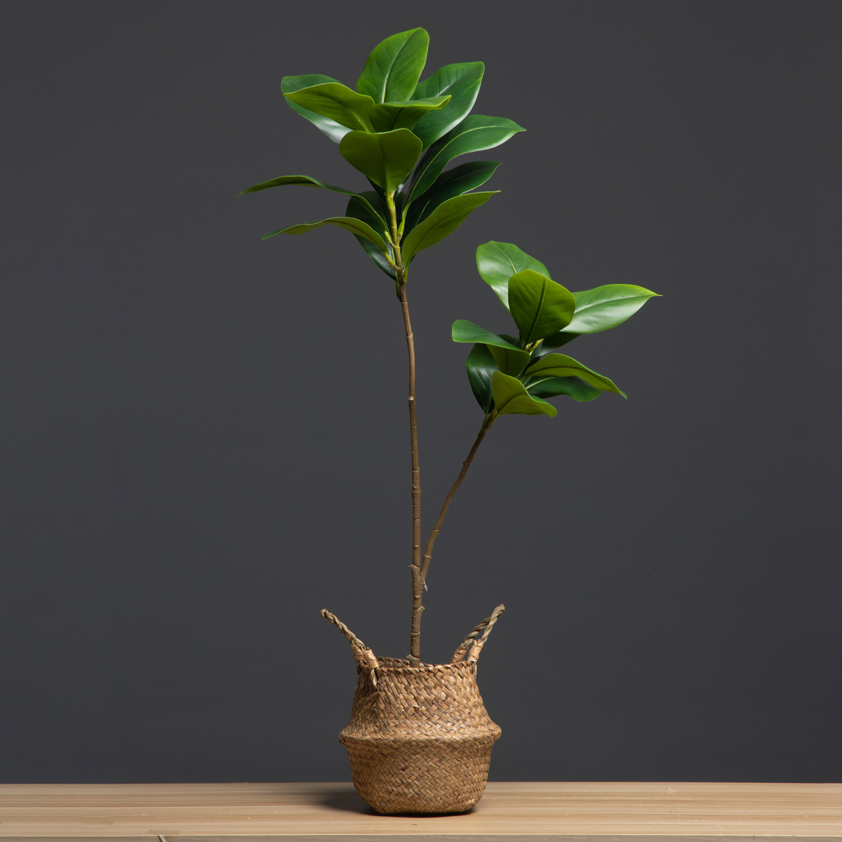 Plantas artificiales grandes d - Dracaena Marginata reseña y precio