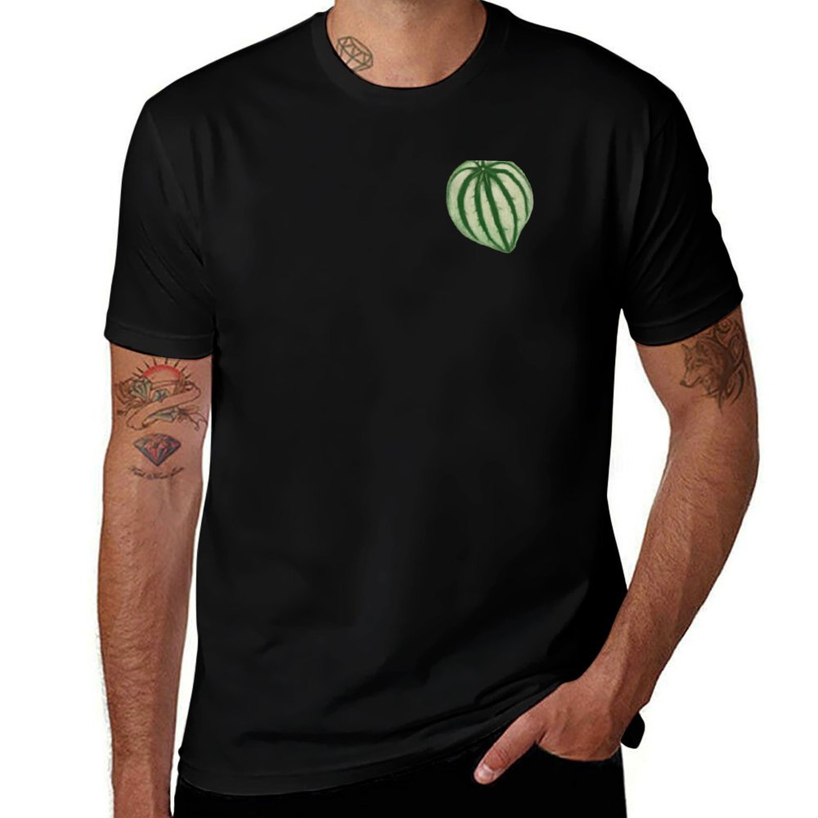 Camiseta Watermelon Peperomia, - Peperomia Watermelon reseña y precio