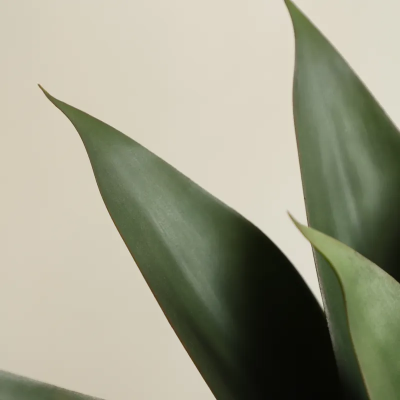 Planta Artificial de Aloe Vera - Aloe Vera Pot reseña y precio