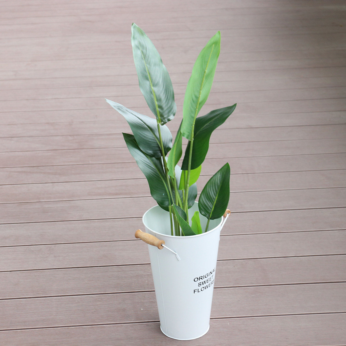 Maceta de Hierro Forjado para  - Aloe Vera Pot reseña y precio